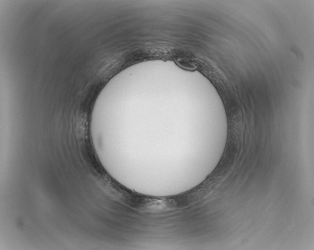 X0000115820083200912041636