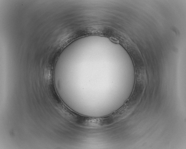 X0000115820084200912041636