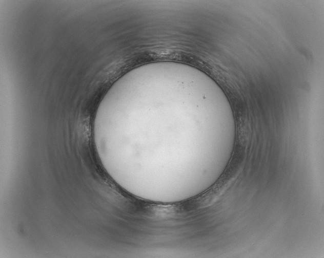 X0000115820085200912041636