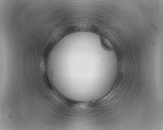 X0000115820086200912041636