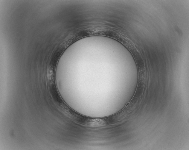 X0000115820087200912041636