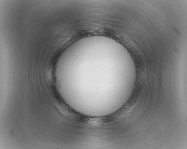 X0000115820088200912041636