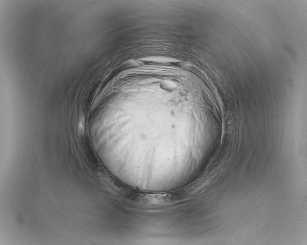 X0000115820089200912041636