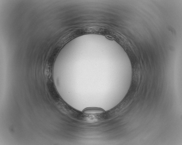 X0000115820091200912041636