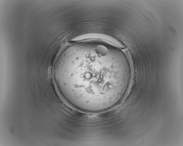 X0000115820093200912041636