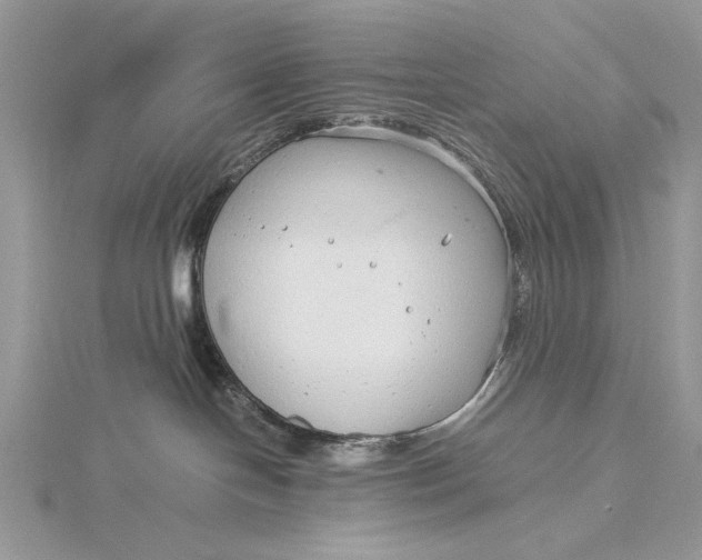 X0000115820094200912041636