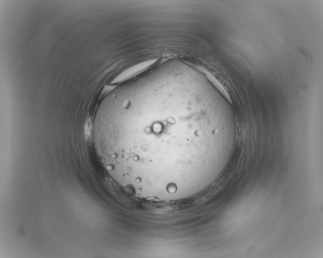 X0000115820095200912041636