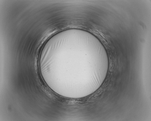 X0000115820098200912041635