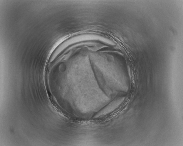 X0000115820100200912041635