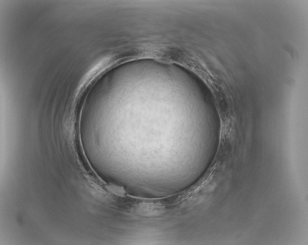 X0000115820101200912041635