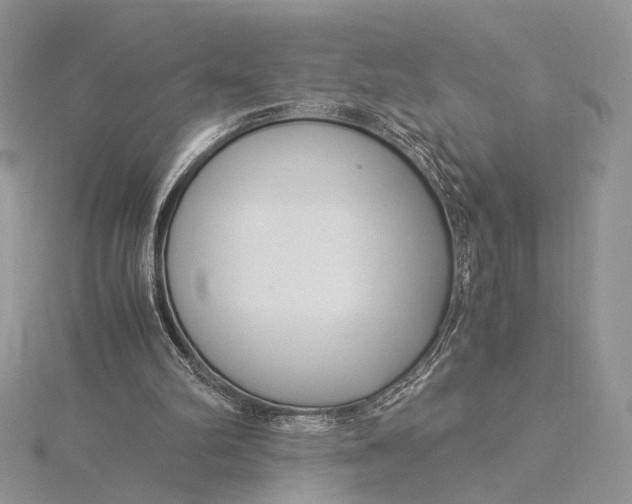 X0000115820102200912041635