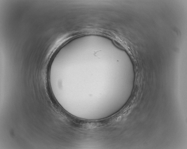 X0000115820103200912041635