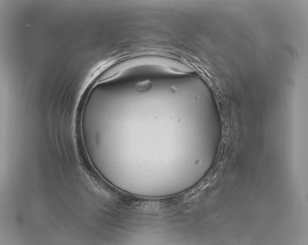 X0000115820104200912041635