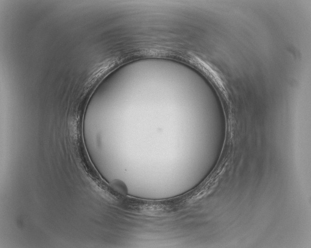 X0000115820105200912041635