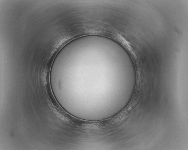 X0000115820106200912041635