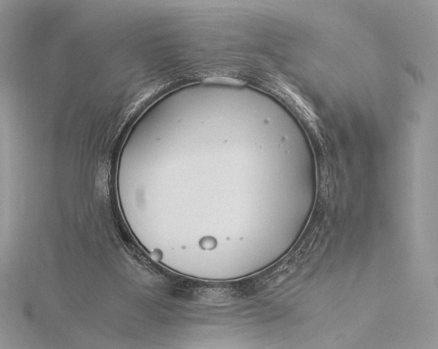 X0000115820107200912041635