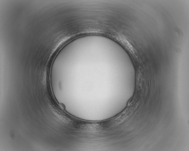 X0000115820108200912041635