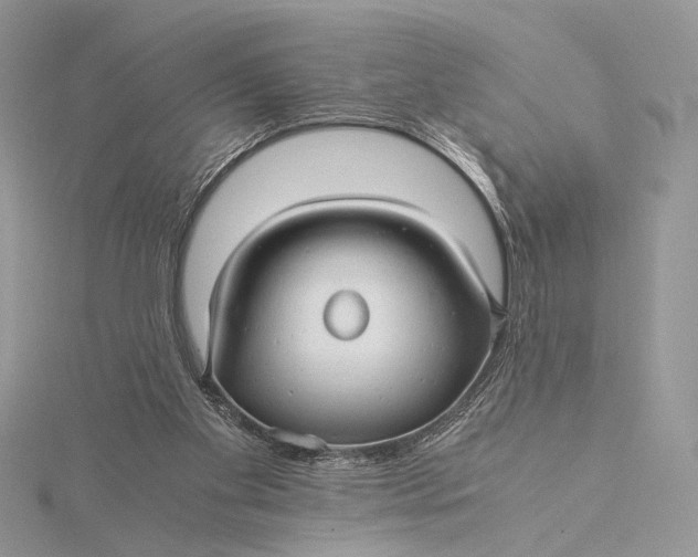 X0000115820109200912041635