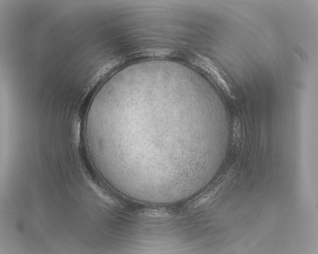 X0000115820110200912041635