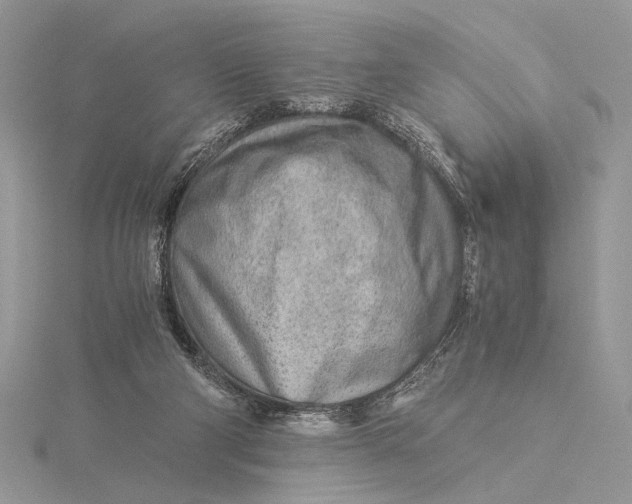 X0000115820114200912041635