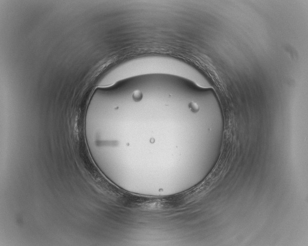 X0000115820116200912041635