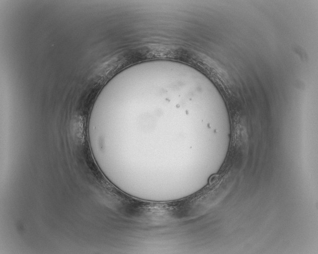 X0000115820121200912041635