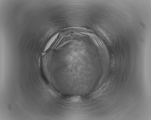 X0000115820124200912041635