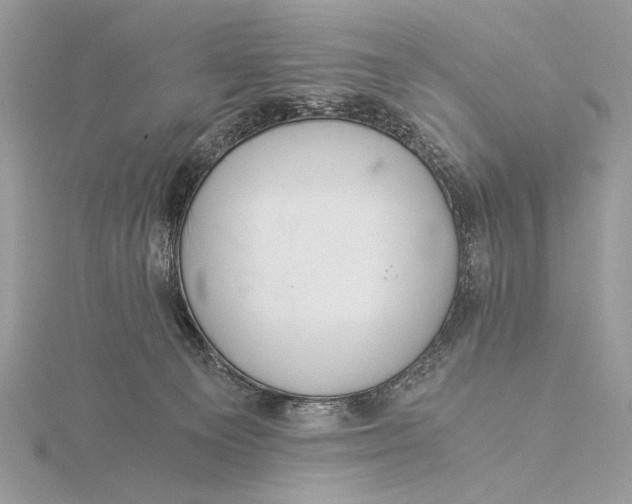 X0000115820129200912041635