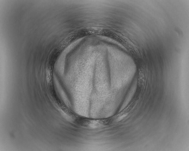 X0000115820130200912041635