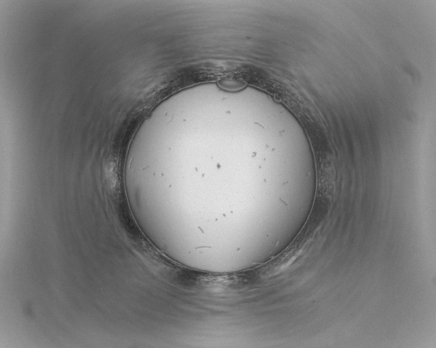 X0000115820131200912041635