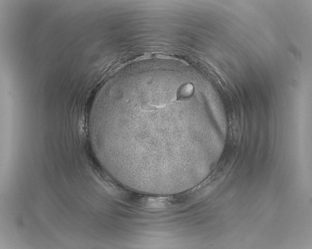 X0000115820134200912041635