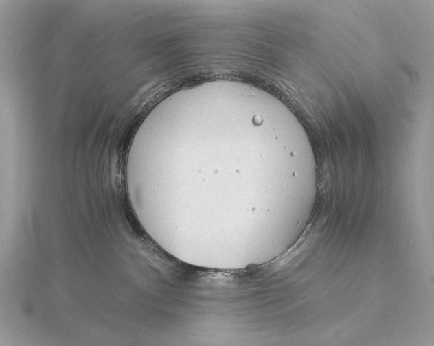 X0000115820140200912041635