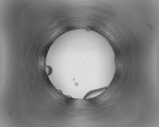 X0000115820141200912041635