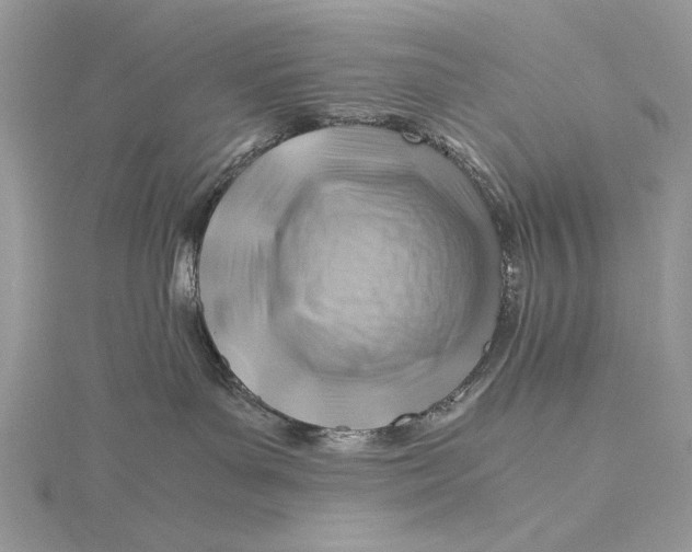 X0000115820143200912041635