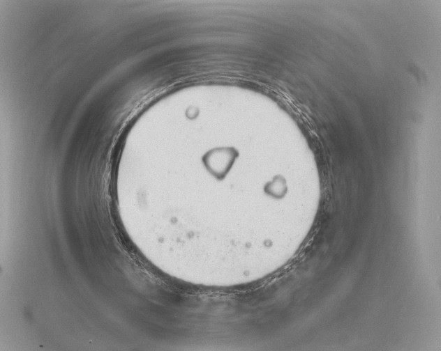 X0000115820146200912041634