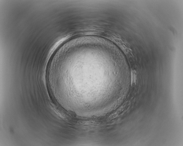 X0000115820147200912041634