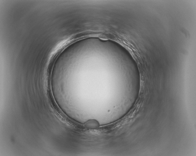 X0000115820149200912041634