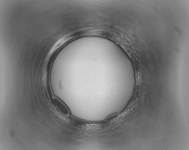 X0000115820150200912041634