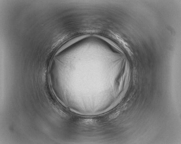 X0000115820153200912041634