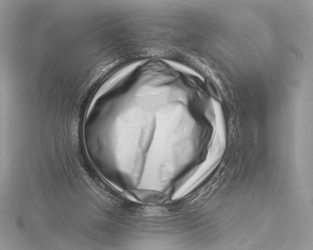 X0000115820154200912041634