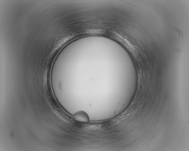 X0000115820155200912041634