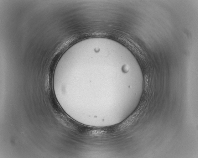 X0000115820158200912041634