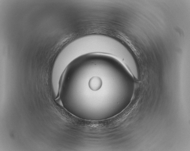 X0000115820161200912041634