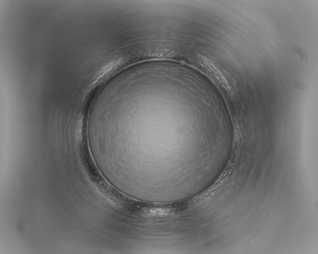 X0000115820163200912041634