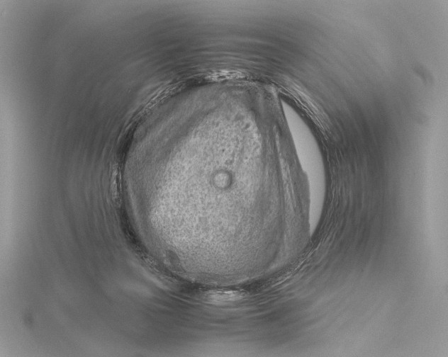 X0000115820169200912041634