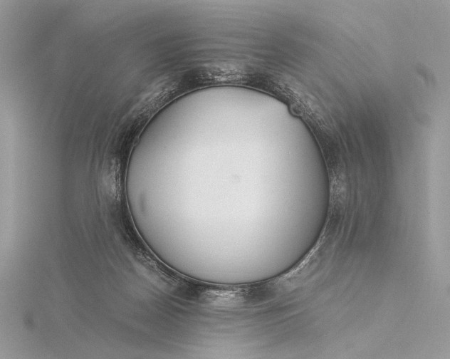 X0000115820170200912041634