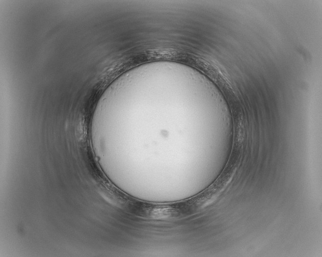 X0000115820173200912041634