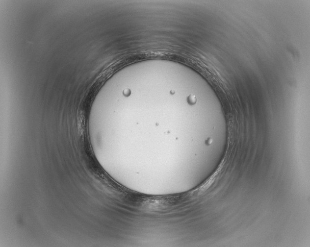 X0000115820174200912041634