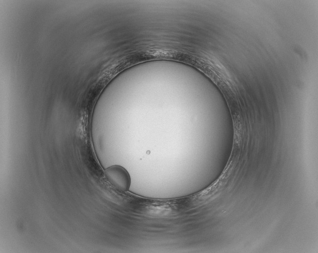 X0000115820175200912041634