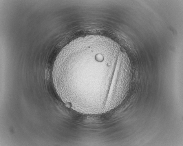 X0000115820177200912041634